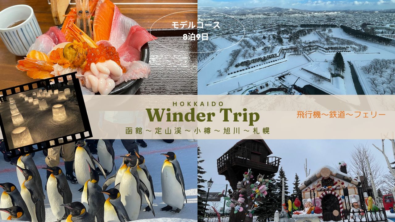 冬の北海道を満喫！車なしコースで函館、札幌、小樽、定山渓温泉、旭川 